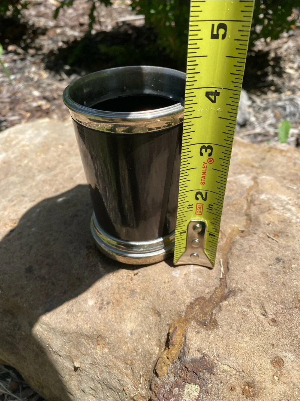 Silver-Trimmed Dark Brown Cylindrical Tumbler